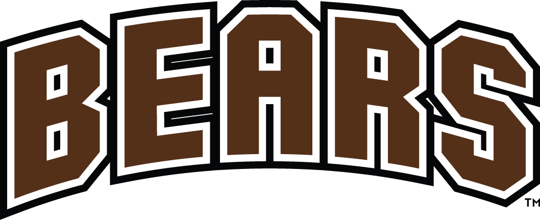 Brown Bears 1997-Pres Wordmark Logo v2 diy DTF decal sticker